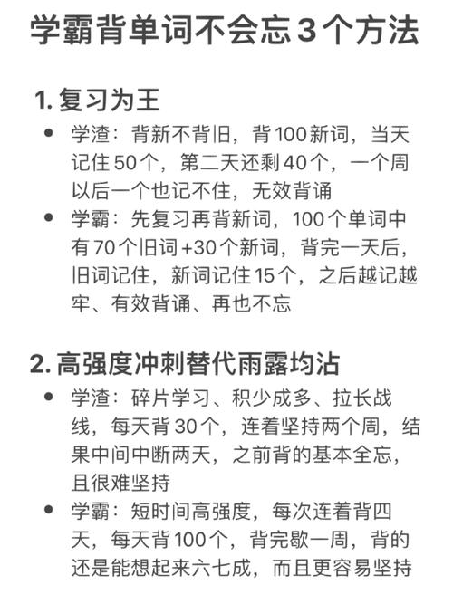 在“坐在学霸的鸡上背单词笔趣阁”的求知之旅