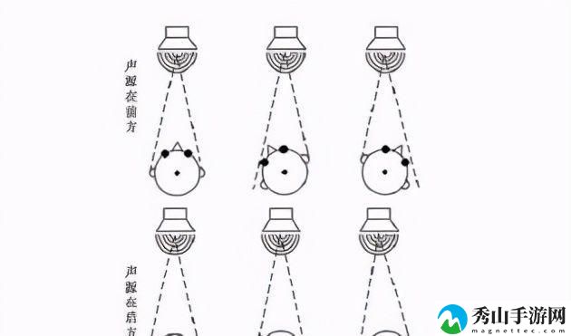 探秘人体工厂听觉中枢