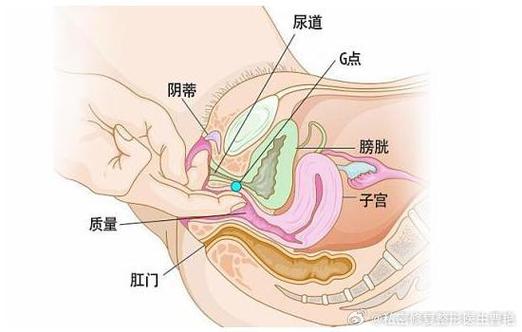 荫蒂每天被三个男人添的独特生活