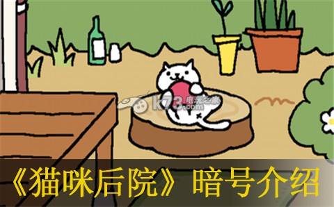 猫咪后院3月27日暗号一览：善于利用敌人疏忽发动致命一击