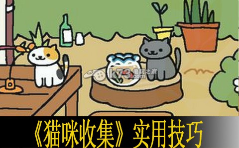 猫咪收集实用技巧分享：游戏内角色升级技巧