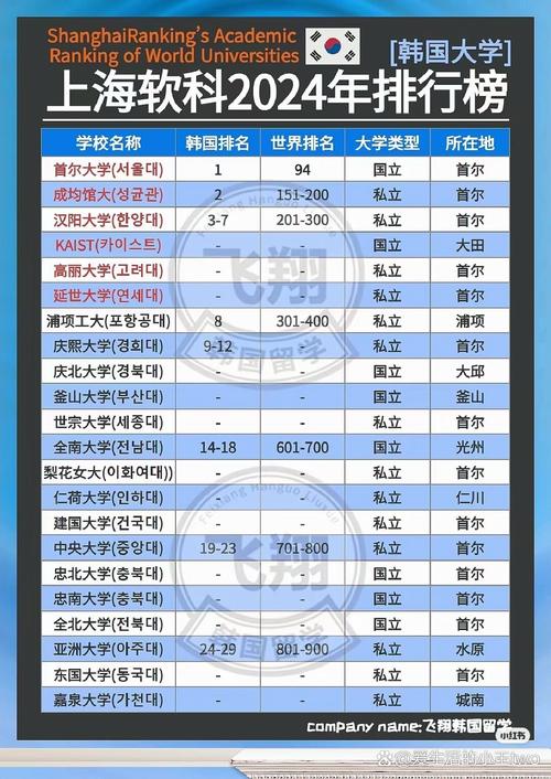 韩国理论大全2024，粉丝表示：青春与梦想的交织