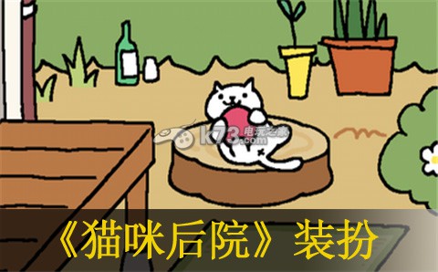 猫咪后院装扮后院方法：实用副本通关技巧