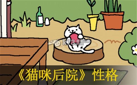 猫咪后院性猫咪格翻译：高级副本全攻略分享