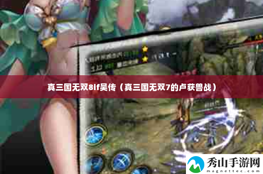 真三国无双8if吴传 装备品质与等级提升，追求极致属性加成