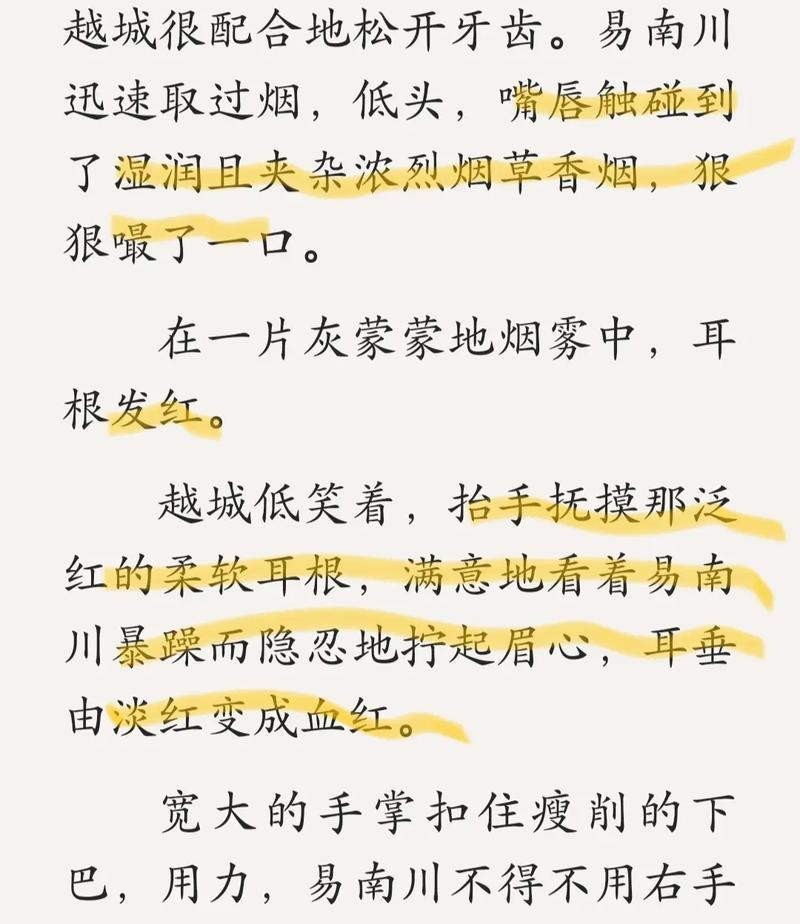  人生百态：“三个男人躁我一个爽”下的欢乐与思考